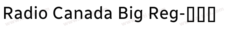 Radio Canada Big Reg字体转换